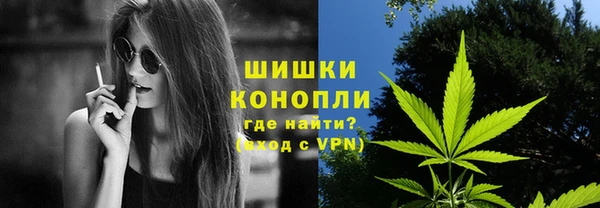 мдпв Краснотурьинск