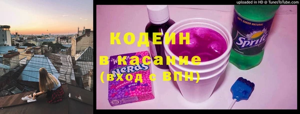 сатива Краснослободск