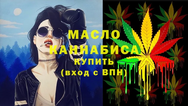 сатива Краснослободск