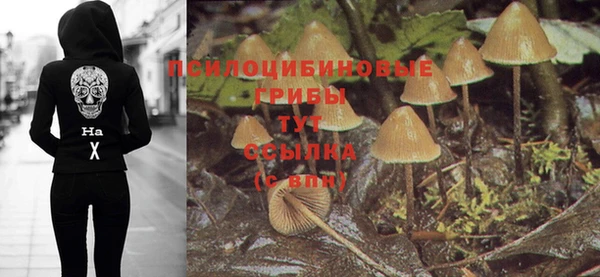 сатива Краснослободск