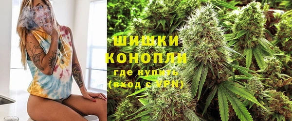 винт Коряжма