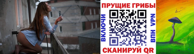 Купить где  Старица  Галлюциногенные грибы мухоморы 
