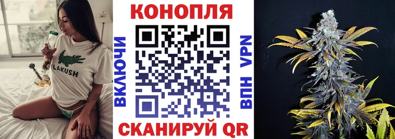Канабис план  Купить где  Старица 